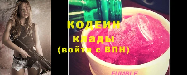 ПСИЛОЦИБИНОВЫЕ ГРИБЫ Арсеньев