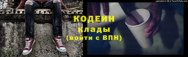 ПСИЛОЦИБИНОВЫЕ ГРИБЫ Арсеньев